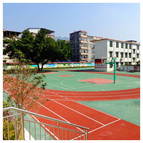 肇庆雷公坑小学复合型塑胶跑道